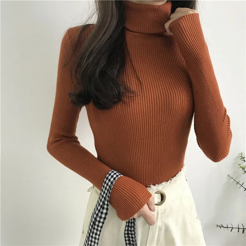 Knitted turtleneck long sleeved top