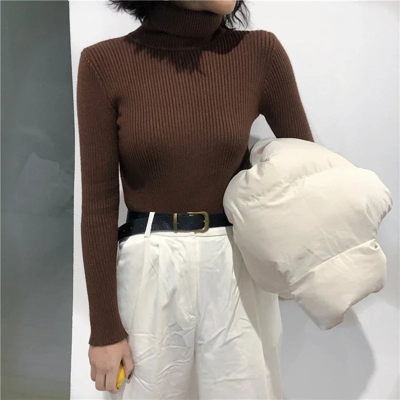 Knitted turtleneck long sleeved top