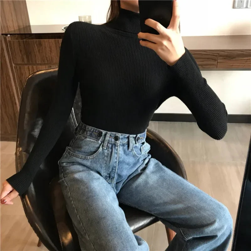 Knitted turtleneck long sleeved top